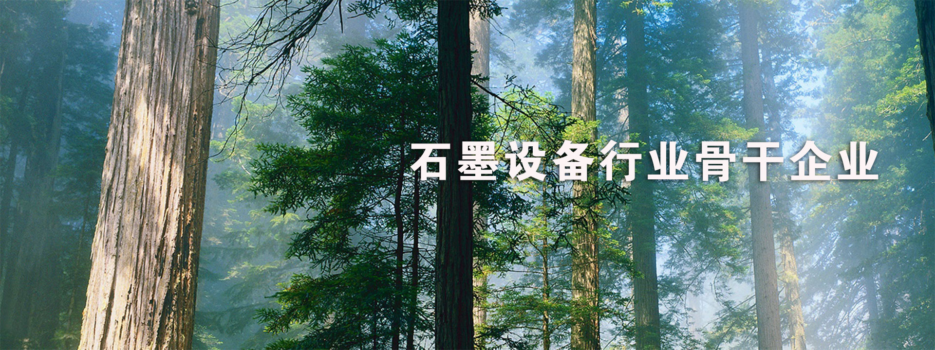 泰安藝樹(shù)園林綠化有限公司