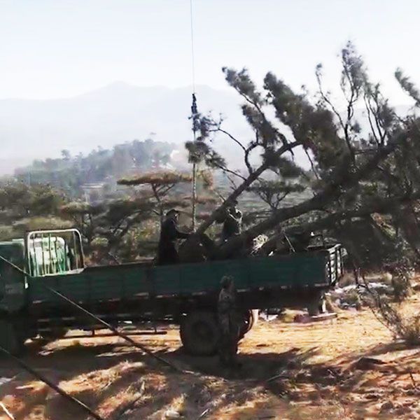 發(fā)貨現(xiàn)場